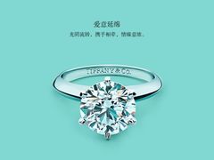 -Tiffany & Co.蒂芙尼
(天津万象城店)