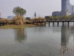 -桂溪生态公园