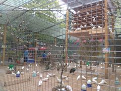 -洛阳市隋唐城遗址植物园