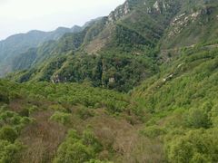 -石家庄极地海洋世界