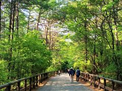 -棋盘山风景区