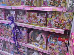 -TOYSRUS玩具反斗城(厦门中华城店)