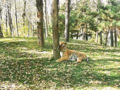 -北京野生动物园