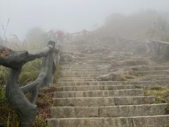 -梧桐山风景名胜区