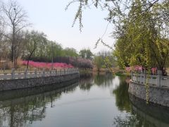 -大望京公园