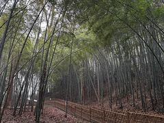 -敬亭山风景名胜区