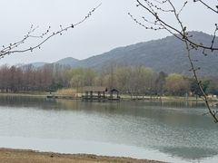 -长广溪湿地公园