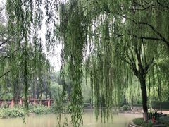 -西安市长乐公园