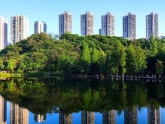 -重庆彩云湖湿地公园