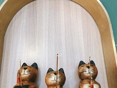 -飞行喵MR PILOT|猫舍·猫咖(静安大融城店)