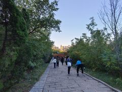 -南翠屏公园