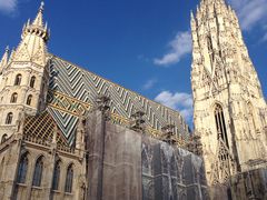 -斯蒂芬主教座堂(Stephansdom)