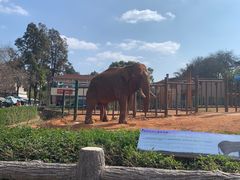 -昆明动物园