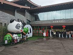 -都江堰中华大熊猫苑