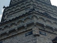 -祥源·阜阳生态乐园