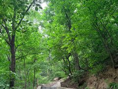 -大岭沟猕猴桃谷风景区