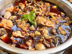-云溪河冷锅鱼(成都玉林小吃街店)