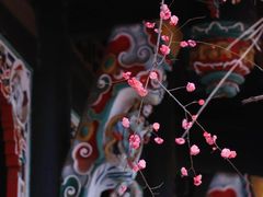 -望江楼公园
