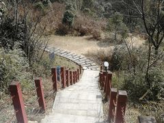-桃花岭景区