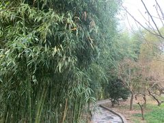 -南汇桃花村