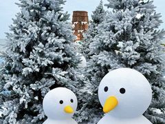 -汕头中海黄金海岸水上乐园