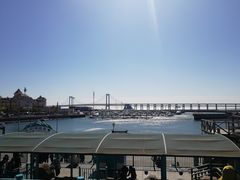 -星海湾跨海大桥
