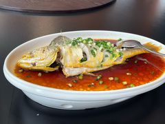 -金粤九号(李公堤店)
