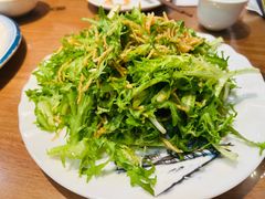 凉拌苦菊-春水锅贴·传统鲁菜(大明湖店)