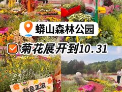 -北京十三陵国家森林公园蟒山景区