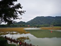 -艾米稻香小镇