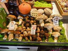 -菌自由丨野生菌火锅特色庭院餐厅(丽江古城店)