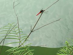 -清泉湾生态旅游度假区