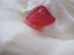 -红宝石·鲜奶小方(昌里店)