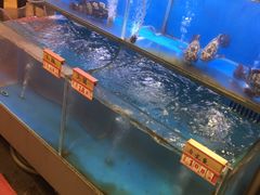 水产区-龙记·香港茶餐厅(海上世界店)