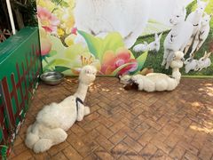 -灵玲国际马戏城