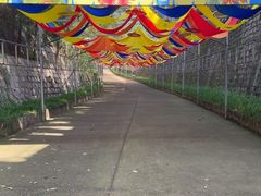 -北京十三陵国家森林公园蟒山景区