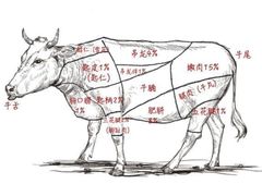 -手选潮汕鲜活牛肉火锅(二七广场店)