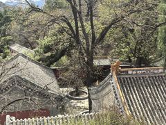 -潭柘寺景区