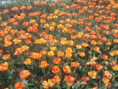 -成都市文化公园
