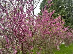 -艾溪湖湿地公园