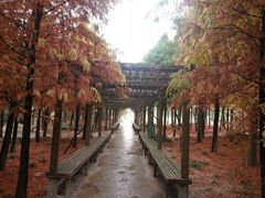 android_upload_pic-上海都市菜园