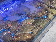 -77号渔船·蒸海鲜青岛菜(积米崖店)