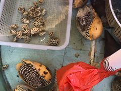 -钱山海鲜大排档