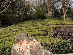 -敬亭山风景名胜区