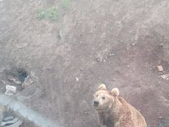 -新疆天山野生动物园