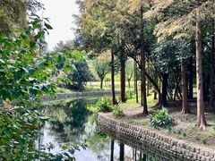 -上海滨江森林公园