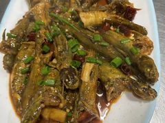 -毛家冷饮