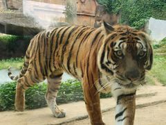 -杭州野生动物世界