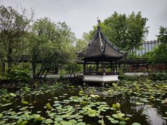-上海醉白池公园