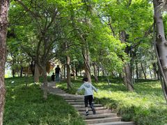 -唐城墙遗址公园